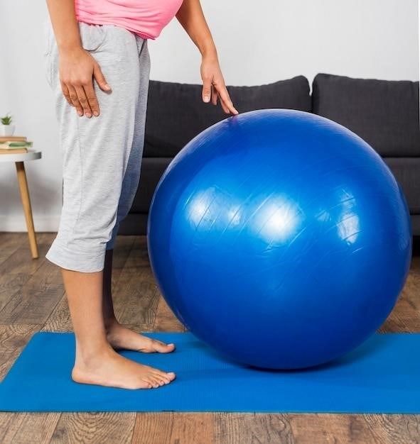 bosu ball exercises pdf